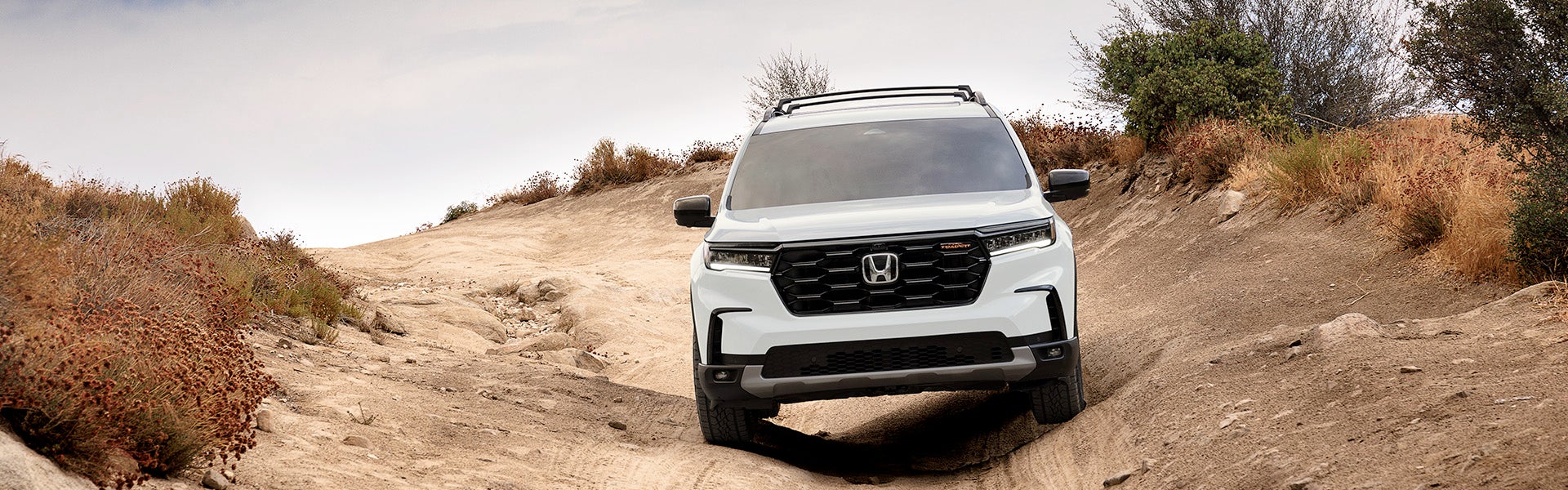 Honda Pilot for sale Columbus MS