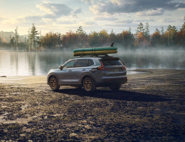Learn About the Honda CR-V and Its Trims